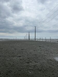 潮干狩り！！【木更津】