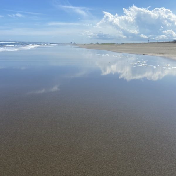 娘とデート【木更津】