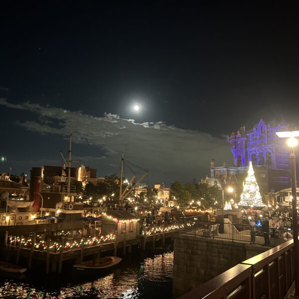 『夢の国』【木更津】